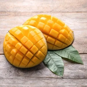 Sweet Mango Plant - Live Yellow Mango Tree 8-12 Inch - Grow Outside