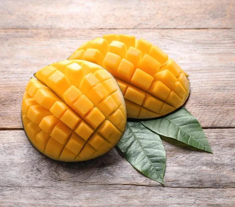 Sweet Mango Plant - Live Yellow Mango Tree 8-12 Inch - Grow Outside