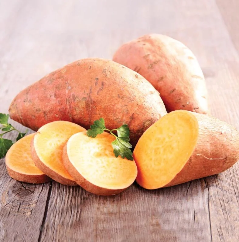 Sweet Potato Plants - 10 Slips - Garden Perennials - Planting Ornaments