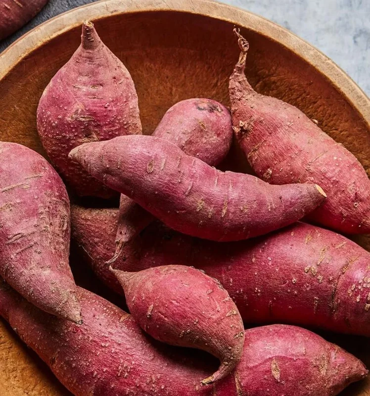 Sweet Potato Plants - 10 Slips - Garden Perennials - Planting Ornaments
