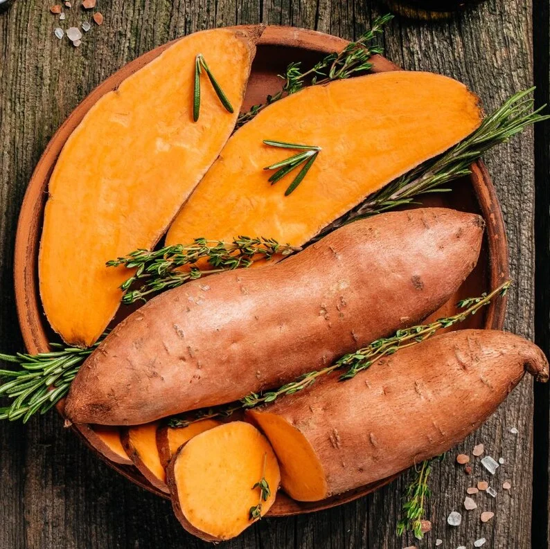 Sweet Potato Plants - 10 Slips - Garden Perennials - Planting Ornaments
