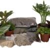 Terrarium Kit – 10 Plants, 2" Pots, DIY Garden & Terrarium Supplies