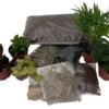Terrarium Kit – 5 Mini Plants in 2" Pots, DIY Garden Kit with Soil, Moss, and Mulch
