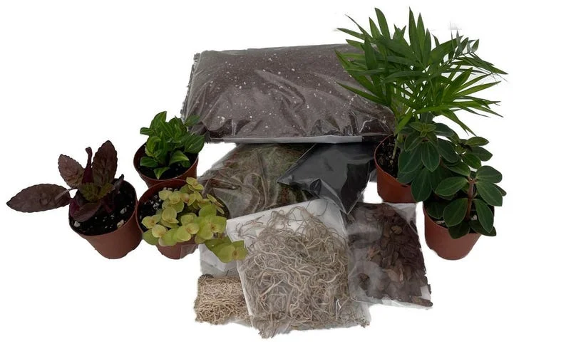 Terrarium Kit – 5 Mini Plants in 2" Pots, DIY Garden Kit with Soil, Moss, and Mulch