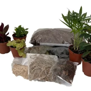 Terrarium Kit – 5 Mini Plants in 2