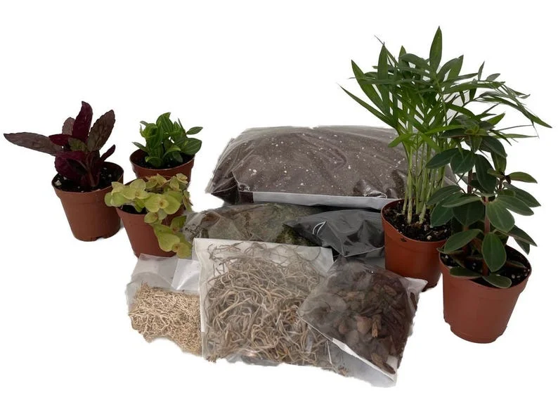 Terrarium Kit – 5 Mini Plants in 2" Pots, DIY Garden Kit with Soil, Moss, and Mulch