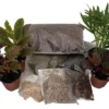 Terrarium Kit - 8 Plants, 2" Pots, DIY Fairy Garden Kit