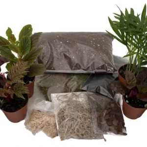 Terrarium Kit - 8 Plants, 2