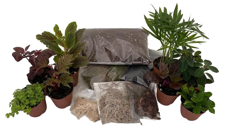 Terrarium Kit - 8 Plants, 2" Pots, DIY Fairy Garden Kit