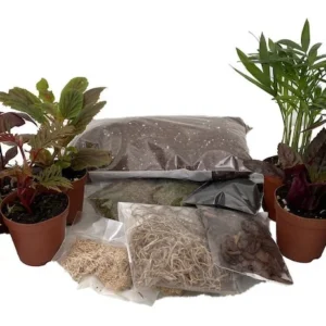 Terrarium Kit - 8 Plants, 2
