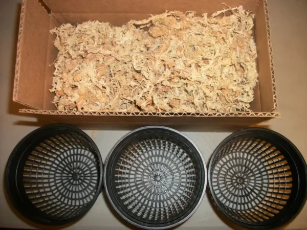 Three 5 Inch Net Pots with New Zealand Sphagnum Moss - Breathable, High-Water Retention