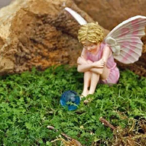 Tiny Tim Fairy Fern - 2.5