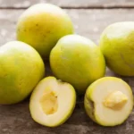 White Sapote Tree - 1 Gallon Live Plant in 4'' Pot - Sapodilla Tree 1.5ft Tall