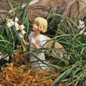 White Sparkler Mondo Grass – Ophiopogon – 2.5