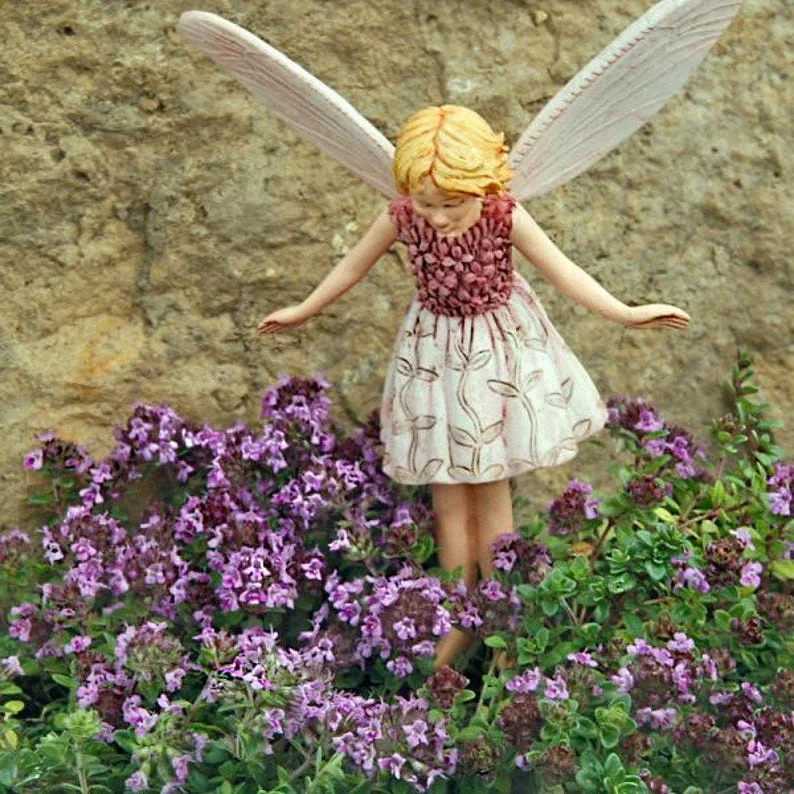 Wine & Roses Thyme Herb Plant - 2.5" Pot - Compact Green Foliage, Pink Flowers