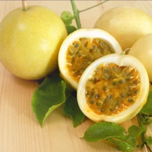 Yellow Passion Fruit Plant - 2 Live Plants for Planting - Tropical Vine