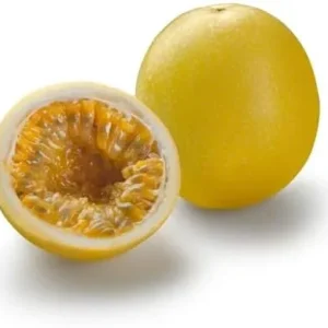 Yellow Passion Fruit Plant - Passion Vine - 8-10 Inch - 4 Inch Pot