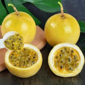 Yellow Passion Fruit Plant - Passion Vine - 8-10 Inch - 4 Inch Pot