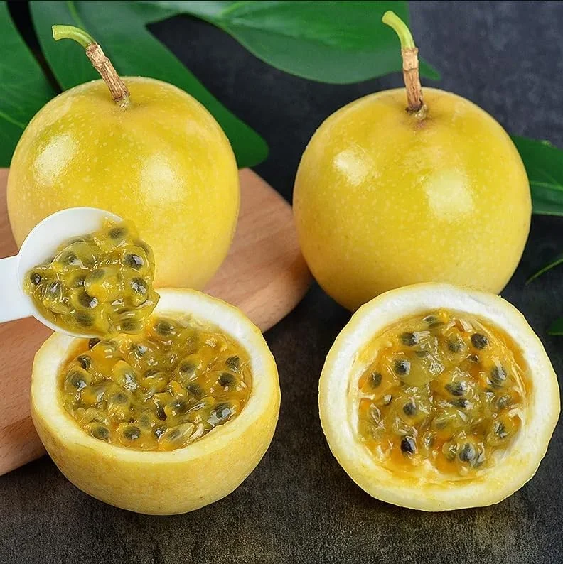 Yellow Passion Fruit Plant - Passion Vine - 8-10 Inch - 4 Inch Pot