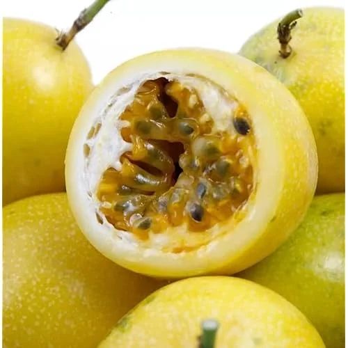 Yellow Passionfruit Vine Seedlings – 4 to 6 Inch Tall – Set of 2 – Easy to Grow
