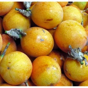 Yellow Passionfruit Vine Seedlings – 4 to 6 Inch Tall – Set of 2 – Easy to Grow
