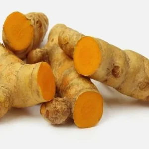 Yellow Turmeric Plants - 2 Live Perennial Fragrant Plants - Curcuma Longa Plants 4-8 Inch Tall - for Planting