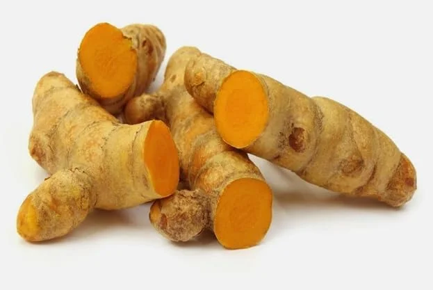 Yellow Turmeric Plants - 2 Live Perennial Fragrant Plants - Curcuma Longa Plants 4-8 Inch Tall - for Planting