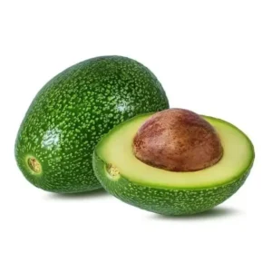 Avocado Tree Little Cado Grafted Fruit Tree - 1 Feet Tall 6" Pot