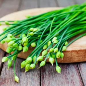 20Garlic Chive Live Plants 4