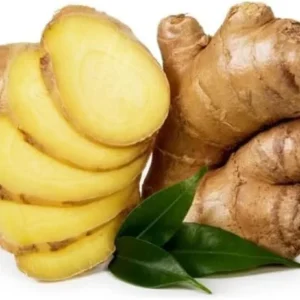 s 2 Live Perennial Ginger Plants Fragrant Ginger Plants Zingiber Officinale Plant 4-8 Inch