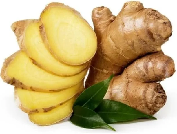 s 2 Live Perennial Ginger Plants Fragrant Ginger Plants Zingiber Officinale Plant 4-8 Inch