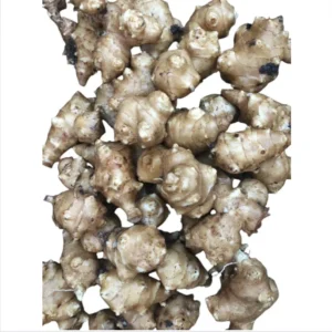 8oz Sunchoke Tubers Fresh Sunchoke Bulbs for Eating or Planting Outdoor Garden