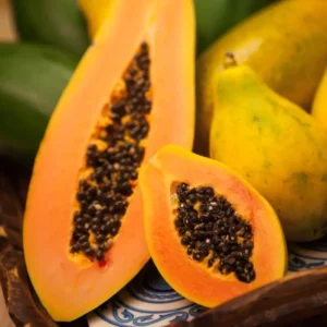 Papaya Live Plant - Yellow Papayas Tree - Carica Papaya - 6-10 Inch - 4 Inch Pot - Well Rooted Plant