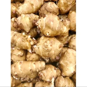 1lb Sunchoke Tubers Fresh Bulbs Sunchoke Bulbs for Eating or Planting Garden