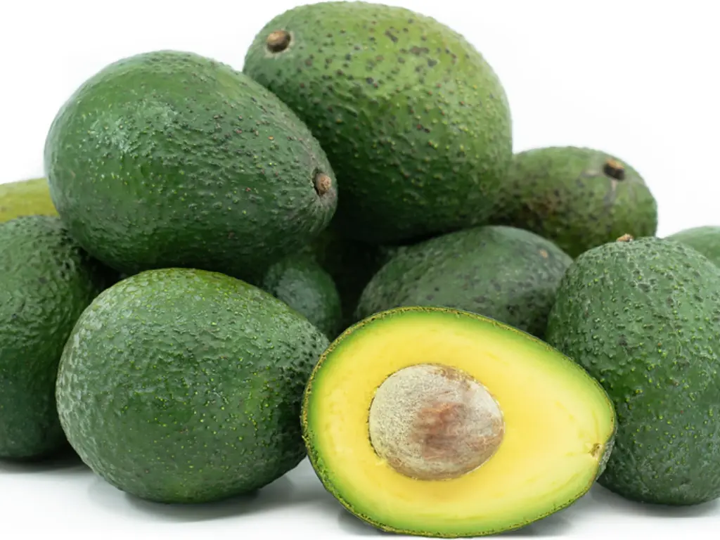 Gwen Avocado