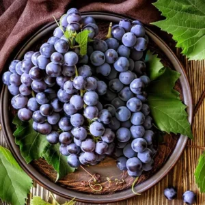 Midgely Seedless Grape Live Plant for Planting 4"Pot Fruit Live Tree 8”Tall