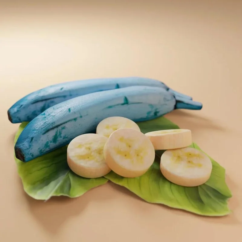 Pack 2 Banana Trees 4-8 Inc - Blue Java Banana