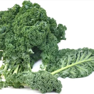 1 Pot Blue Scotch Swirl Kale Plant Live for Planting, Heirloom Vegetable Gardening, Easy To Grow, Delicious in Salads, 3-6"Tall (No Ship CA)