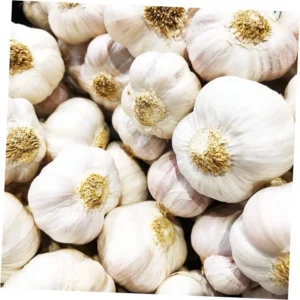 Garlic Bulbs - Music Garlic, 1 Pound