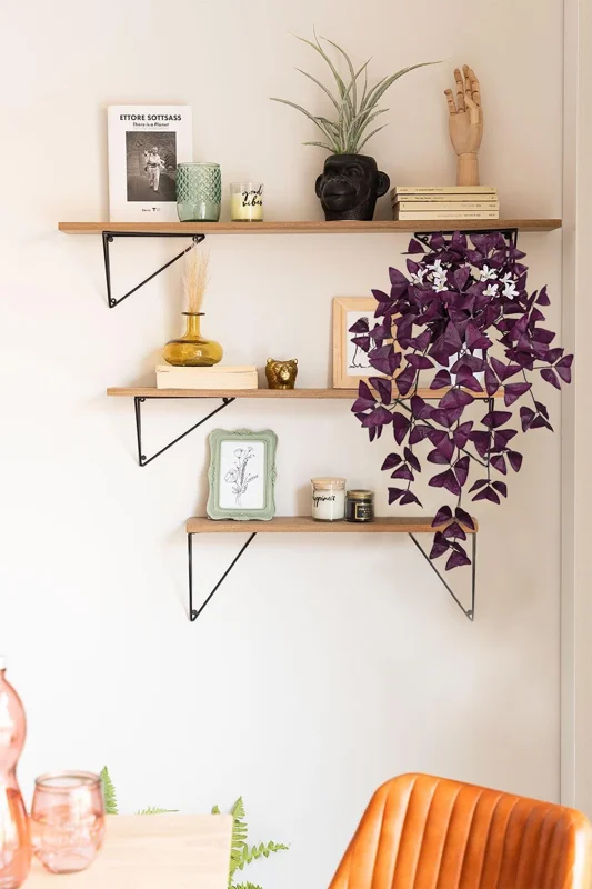 Fake Nidulans Oxalis Live Starter Plant for Planting, Oxalis Triangularis Plant, Oxalis Plant in Home Garden, 4"Pot