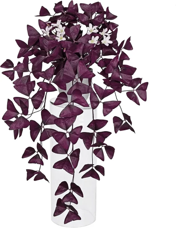 Fake Nidulans Oxalis Live Starter Plant for Planting, Oxalis Triangularis Plant, Oxalis Plant in Home Garden, 4"Pot