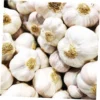 Garlic Bulbs - Music Garlic, 1 Pound