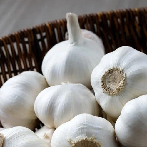 Garlic Bulbs - Music Garlic, 1 Pound