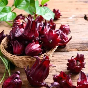 Roselle Hibiscus Plants - 2 Live Hibiscus Sabdariffa in 4 inch Pot