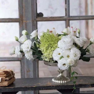 Lisianthus Rosita White III Plug Live Starter Plant - 1-3 Inch Healthy Plug