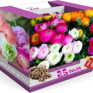 Ranunculus Bulbs Mix - 25 Corms for Planting - French Peony Buttercups