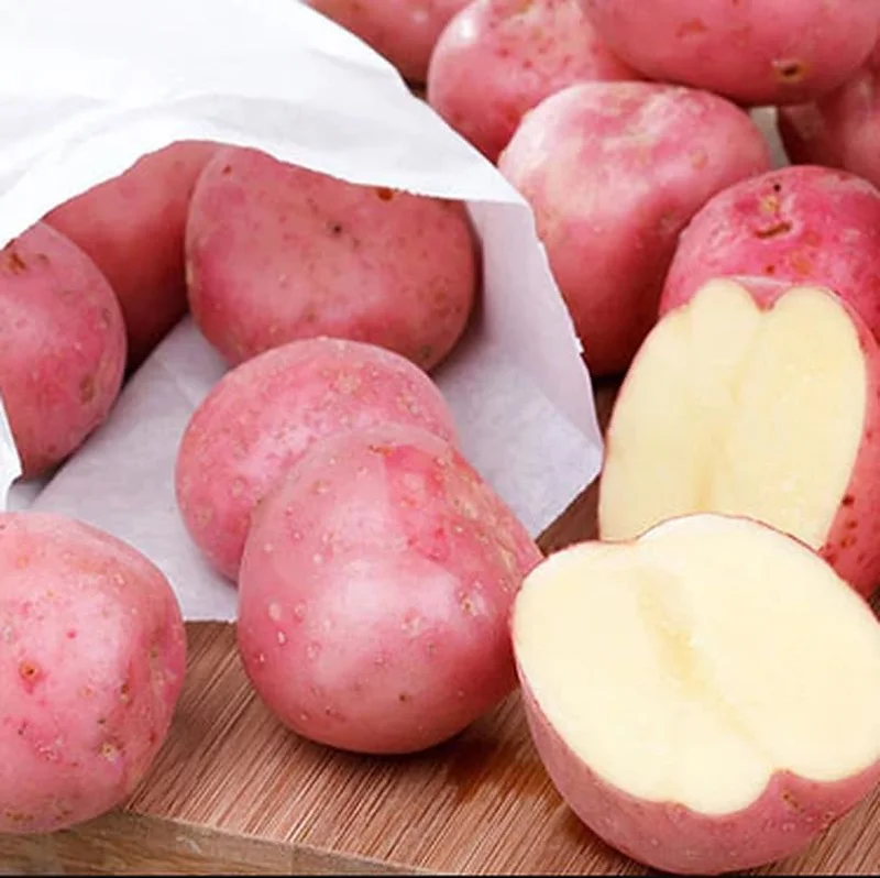 Red Potato Seeds - 60 True Potato Seeds for Outdoor Growing - Easy to Plant