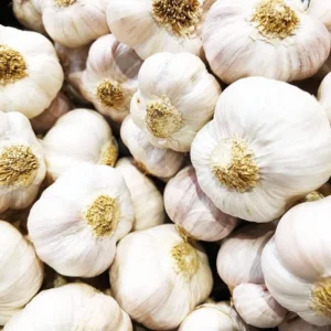 Garlic Bulbs - Music Garlic, 1 Pound