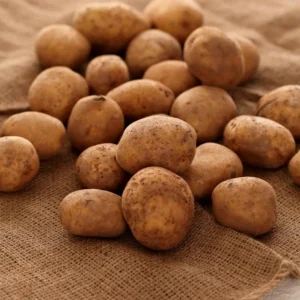 Red Potato Seeds - 60 True Potato Seeds for Outdoor Growing - Easy to Plant