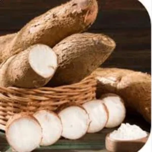 Yuca Cassava Cuttings (Manihot esculenta) - 5 to 8 Inch Long, 20 Cuttings